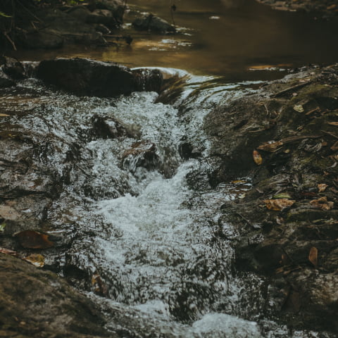 Arroyo