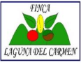 Logo Laguna del Carmen